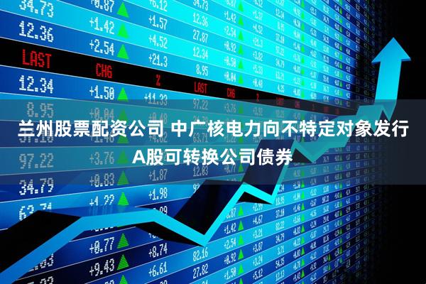 兰州股票配资公司 中广核电力向不特定对象发行A股可转换公司债券